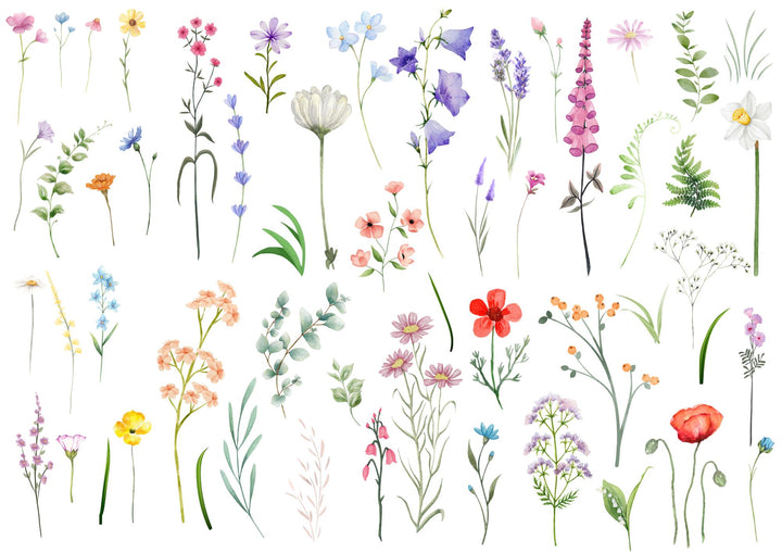A4 Rub-on Folie "Blumen und Gräser" – selbstklebende Transfers für Tassen, Flaschen & Deko (Kopie) (Kopie) (Kopie) (Kopie)