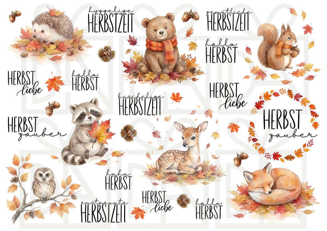 A4 Rub-on Folie "Herbst Tiere" – selbstklebende Transfers für Tassen, Flaschen & Deko